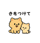 毎日使う連絡・約束・日常語 ポメ君 BIG（個別スタンプ：29）