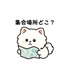 毎日使う連絡・約束・日常語 ポメ君 BIG（個別スタンプ：32）