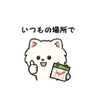 毎日使う連絡・約束・日常語 ポメ君 BIG（個別スタンプ：33）