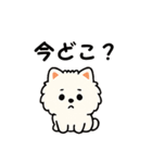 毎日使う連絡・約束・日常語 ポメ君 BIG（個別スタンプ：35）