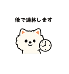 毎日使う連絡・約束・日常語 ポメ君 BIG（個別スタンプ：36）