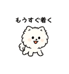 毎日使う連絡・約束・日常語 ポメ君 BIG（個別スタンプ：39）