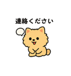 毎日使う連絡・約束・日常語 ポメ君 BIG（個別スタンプ：40）