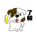 ブルドックのブル男3（個別スタンプ：1）