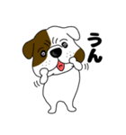 ブルドックのブル男3（個別スタンプ：4）