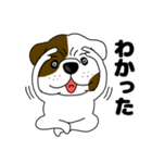 ブルドックのブル男3（個別スタンプ：5）