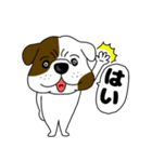 ブルドックのブル男3（個別スタンプ：8）