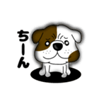 ブルドックのブル男3（個別スタンプ：37）