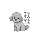 使いやすい長文のトイプードル（敬語）（個別スタンプ：3）