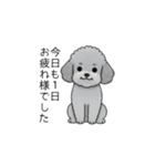 使いやすい長文のトイプードル（敬語）（個別スタンプ：5）