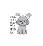 使いやすい長文のトイプードル（敬語）（個別スタンプ：7）