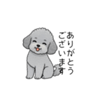 使いやすい長文のトイプードル（敬語）（個別スタンプ：10）