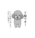 使いやすい長文のトイプードル（敬語）（個別スタンプ：13）