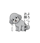 使いやすい長文のトイプードル（敬語）（個別スタンプ：14）