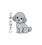 使いやすい長文のトイプードル（敬語）（個別スタンプ：15）