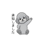 使いやすい長文のトイプードル（敬語）（個別スタンプ：16）