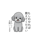 使いやすい長文のトイプードル（敬語）（個別スタンプ：19）