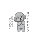 使いやすい長文のトイプードル（敬語）（個別スタンプ：20）