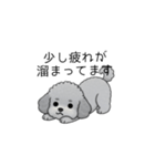 使いやすい長文のトイプードル（敬語）（個別スタンプ：21）