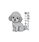 使いやすい長文のトイプードル（敬語）（個別スタンプ：22）
