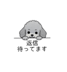 使いやすい長文のトイプードル（敬語）（個別スタンプ：24）