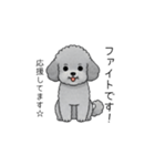 使いやすい長文のトイプードル（敬語）（個別スタンプ：26）