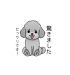 使いやすい長文のトイプードル（敬語）（個別スタンプ：30）