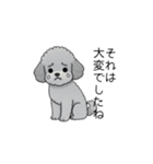 使いやすい長文のトイプードル（敬語）（個別スタンプ：31）