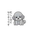 使いやすい長文のトイプードル（敬語）（個別スタンプ：33）