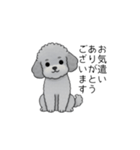 使いやすい長文のトイプードル（敬語）（個別スタンプ：35）