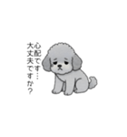 使いやすい長文のトイプードル（敬語）（個別スタンプ：36）