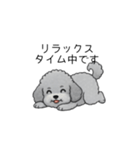 使いやすい長文のトイプードル（敬語）（個別スタンプ：38）