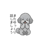 使いやすい長文のトイプードル（敬語）（個別スタンプ：40）