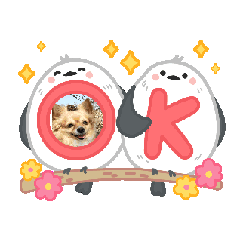 [LINEスタンプ] チワワ＆ダックス仲良し 