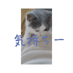 [LINEスタンプ] 皆のアオくん2 