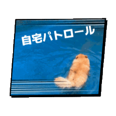 [LINEスタンプ] もふもふとあちゃん 