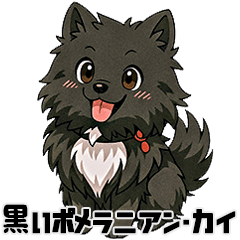 [LINEスタンプ] 黒毛のポメラニアン【カイ】だよ