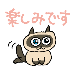 [LINEスタンプ] ごくごく普通のスタンプ いろんな猫