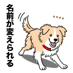 [LINEスタンプ] 名前入りボーダーコリーウィートン