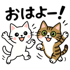 [LINEスタンプ] ねこのラテノア