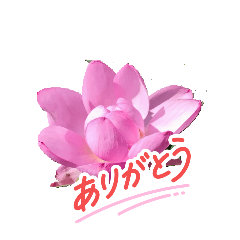 [LINEスタンプ] 再び幸あれ