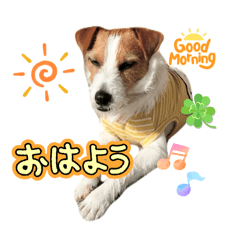 [LINEスタンプ] わんこの日々好日