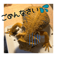 [LINEスタンプ] あんぱんのペットたち③