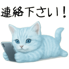 [LINEスタンプ] 推し猫【青】………………………..
