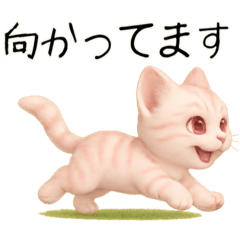 [LINEスタンプ] 推し猫【桃】………………………..