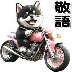 [LINEスタンプ] 敬語♡バイク好き 黒柴