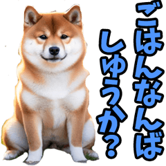 [LINEスタンプ] 佐賀弁☆柴犬