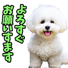 [LINEスタンプ] 宮城仙台弁☆わんこ