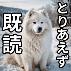 [LINEスタンプ] 可愛い犬の既読マーク
