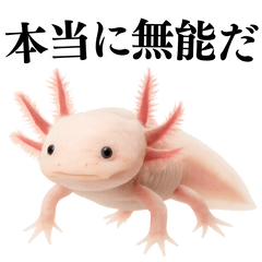[LINEスタンプ] 【煽る】爆笑★ウーパールーパーが煽る
